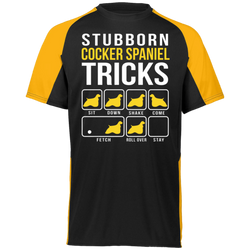 Cocker Spaniel Stubborn Tricks